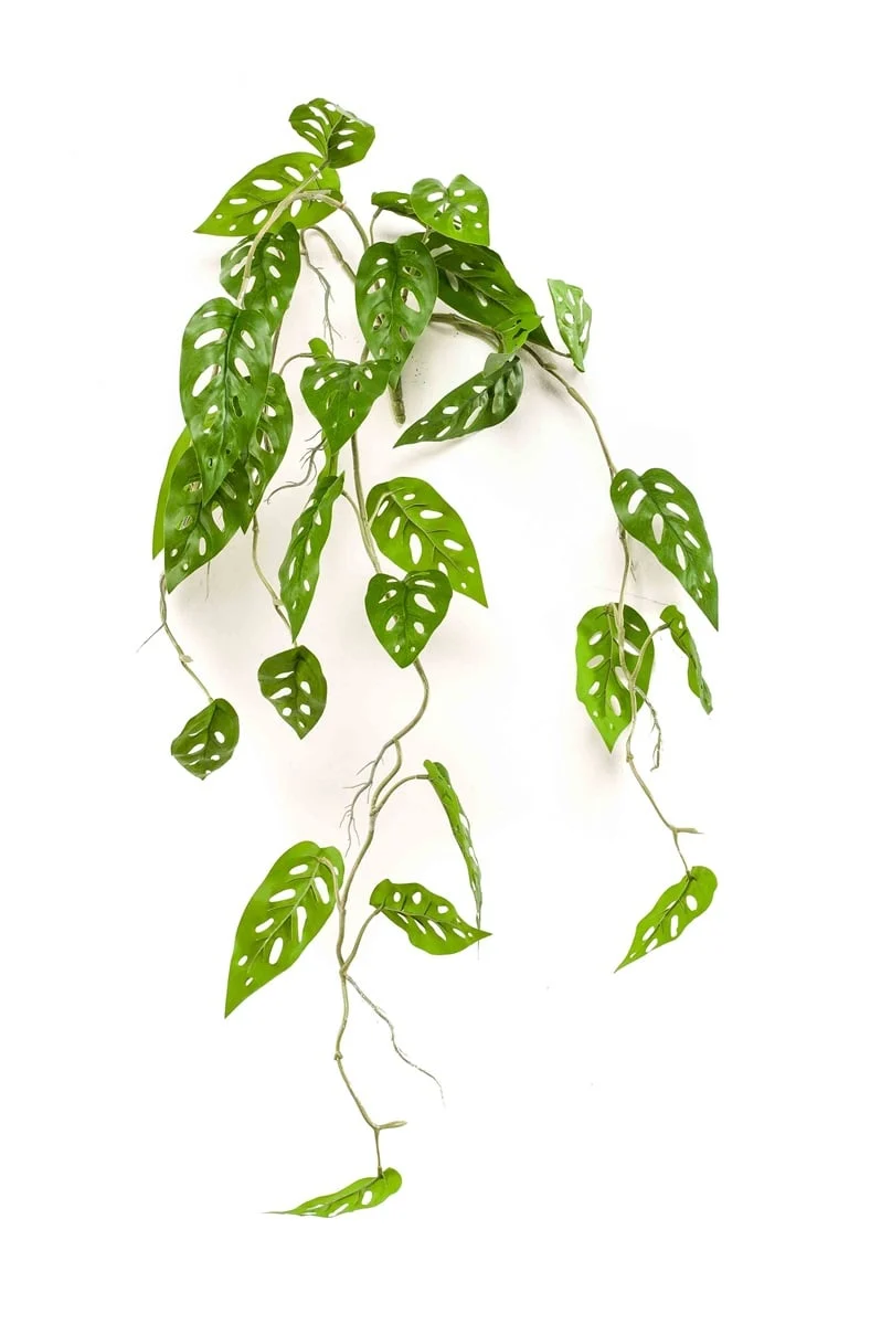 Textil Monstera "Monkey" hängender Busch