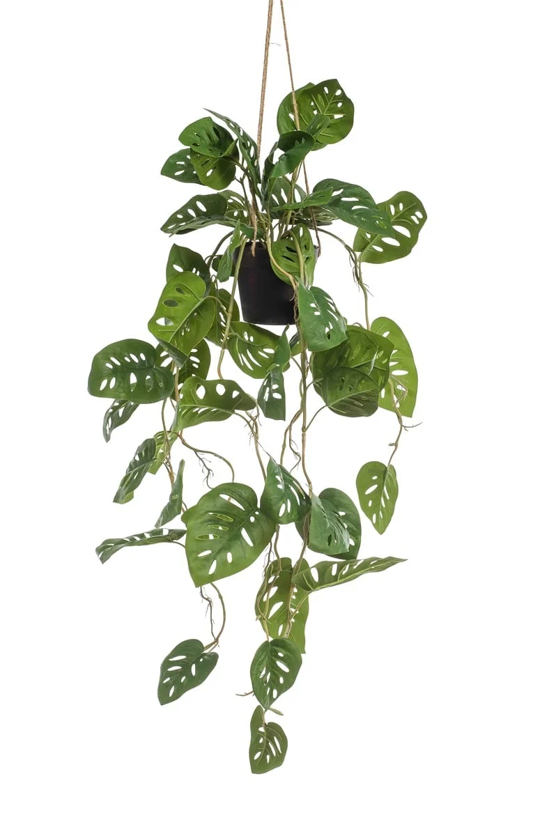 Textil Monstera "Monkey" hängend