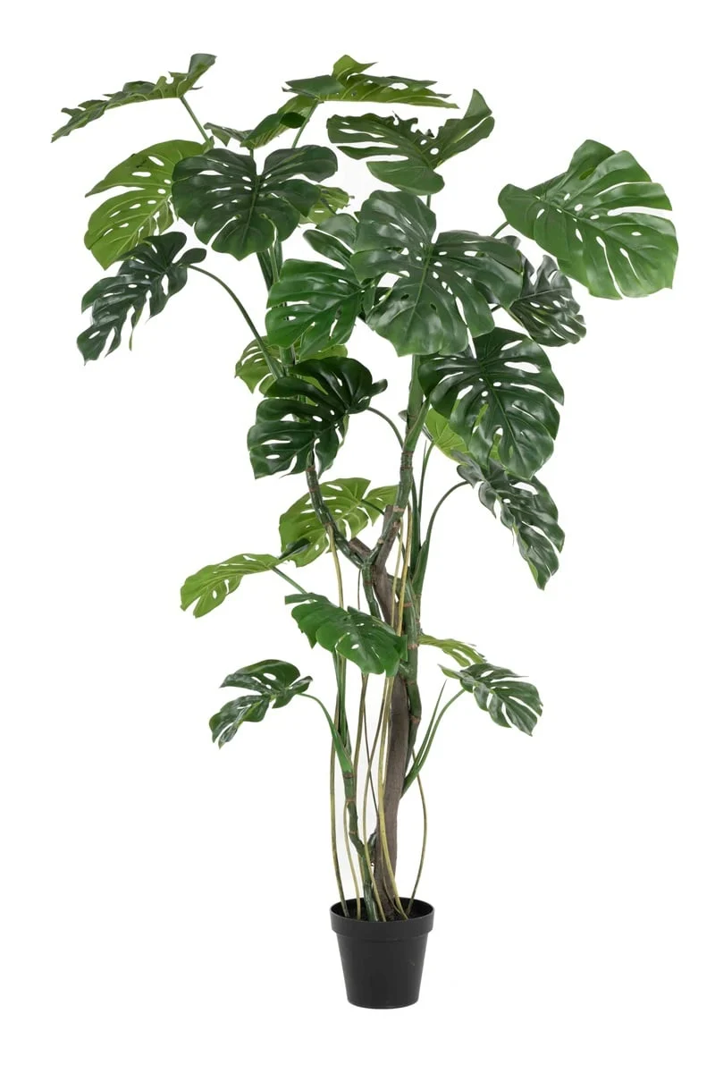 Textil Monstera (180 / 210 cm)