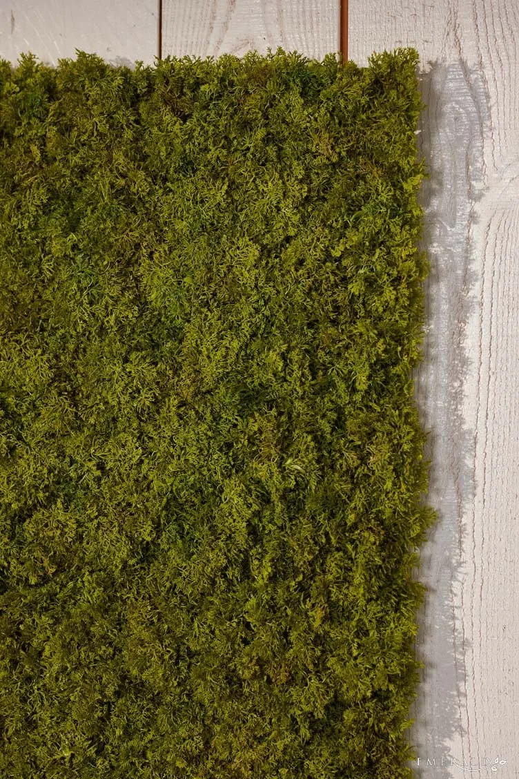 Textil Matte "Islandmoos"