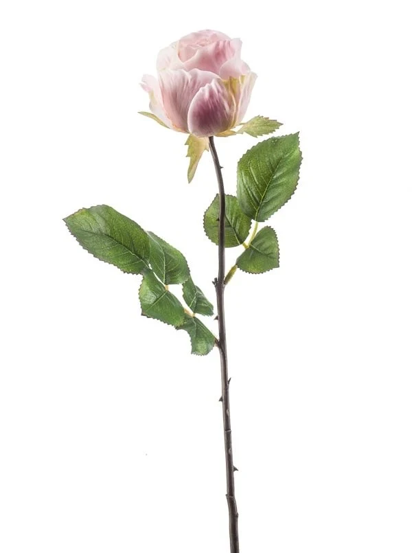 Textil Rose „Femke“