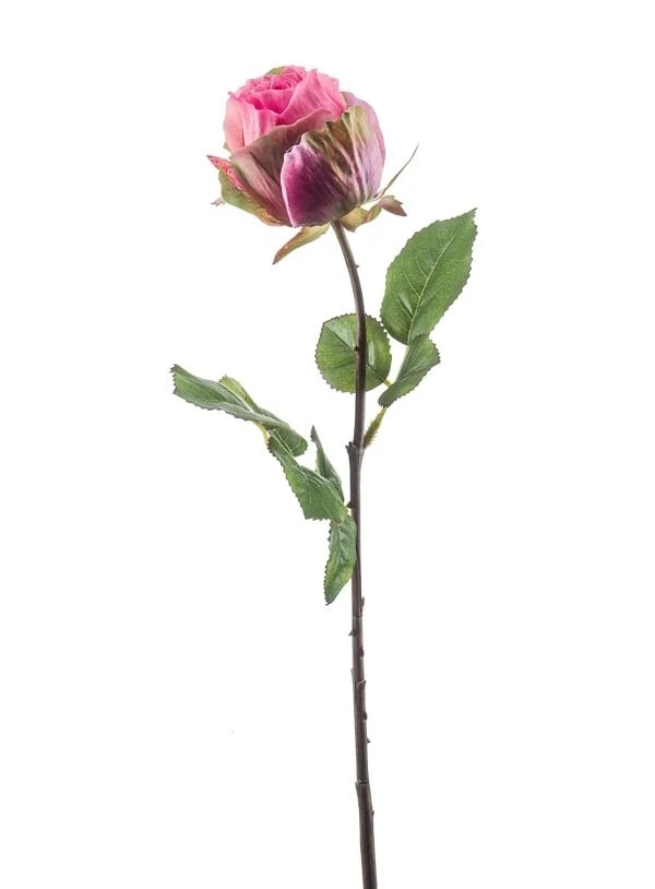 Textil Rose „Femke“