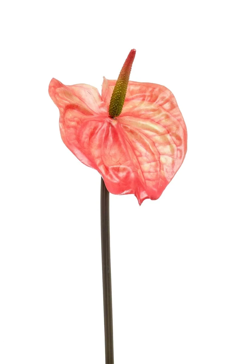 Textil Anthurium „Flamingoblume"