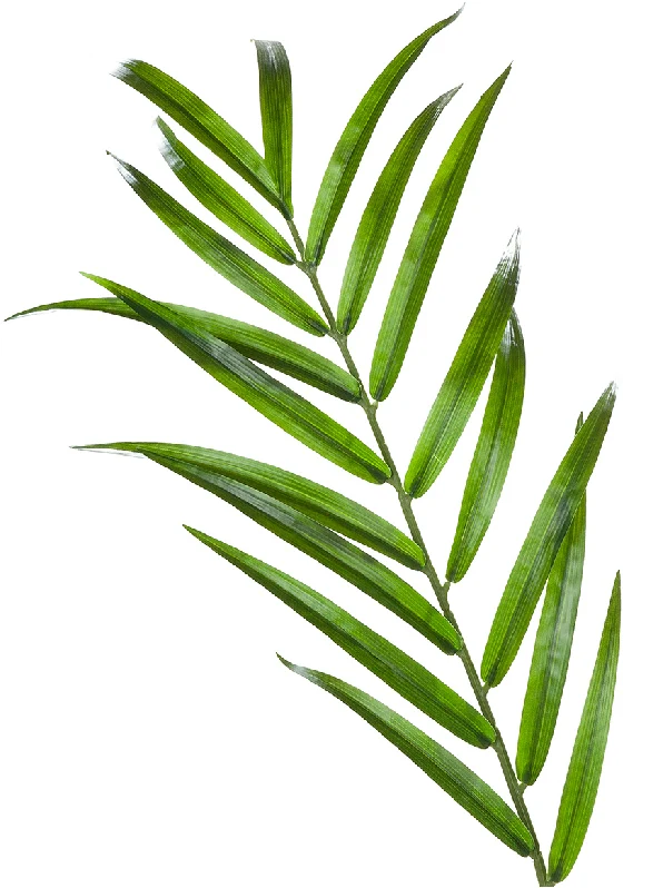 Textil Palme "Hawaii", grün