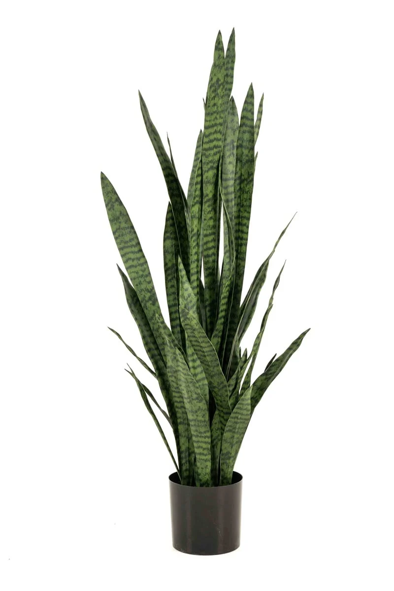 Textil Sansevieria (70 / 97 / 115 / 140 cm)