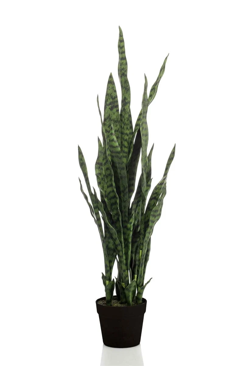 Textil Sansevieria (70 / 97 / 115 / 140 cm)