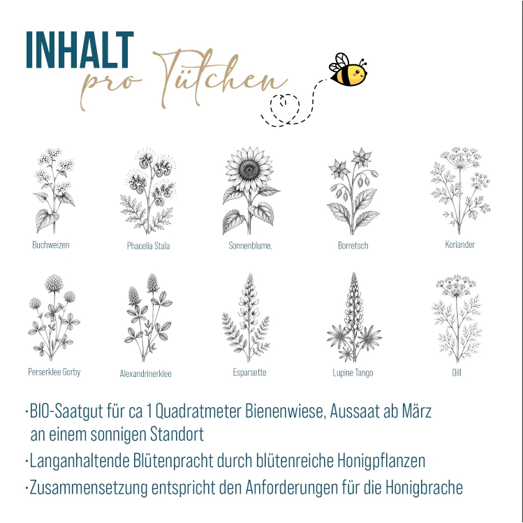 Samentütchen Schön dass du da bist Fischekreis 10er Set bunt