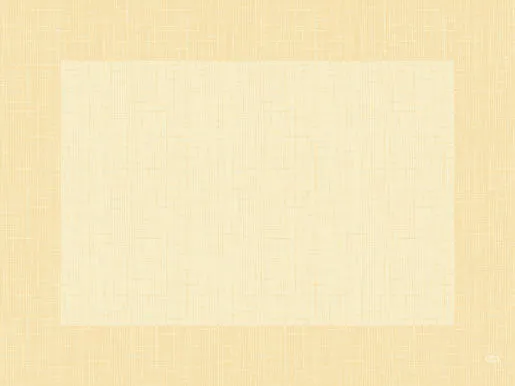 Tischset Joy á 100 Stück, Dunicel® (30 x 40 cm , verschiedene Farben)