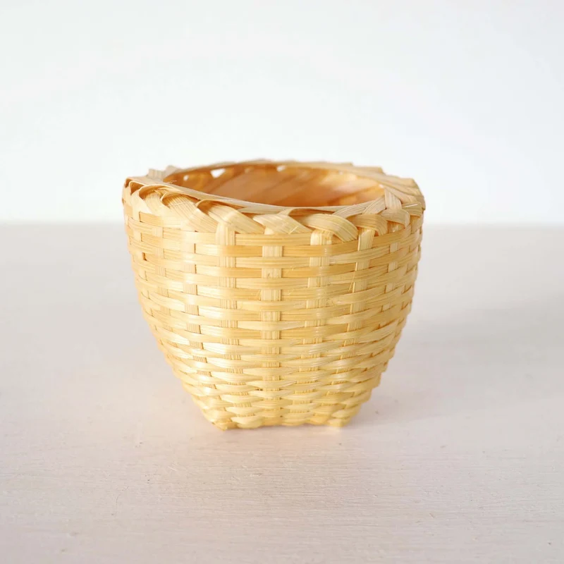 Cactus Plant Pot 10 pcs. - KA NOK PON