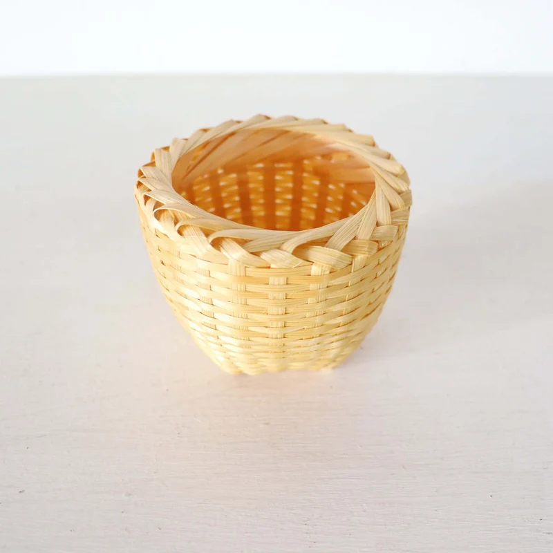 Cactus Plant Pot 10 pcs. - KA NOK PON