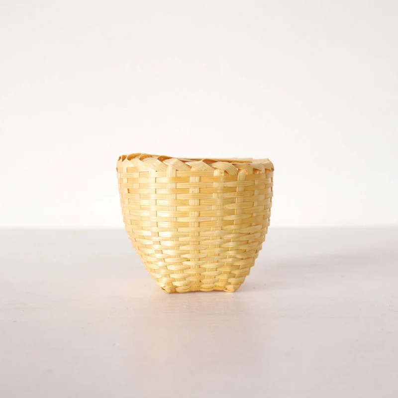 Cactus Plant Pot 10 pcs. - KA NOK PON