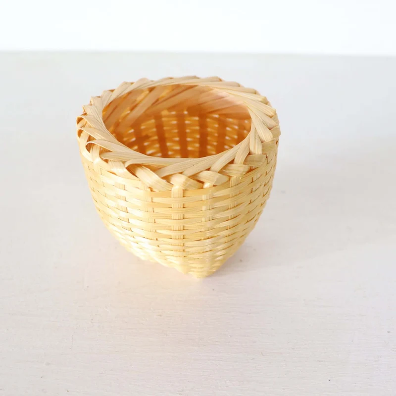 Cactus Plant Pot 10 pcs. - KA NOK PON