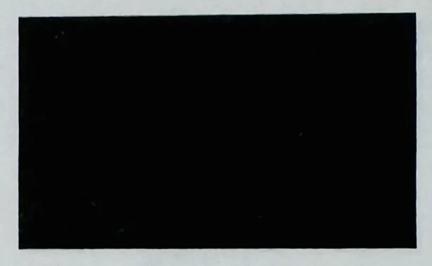 Papier-Fähnchen an 40 cm Polystyrolstab (einfarbig)