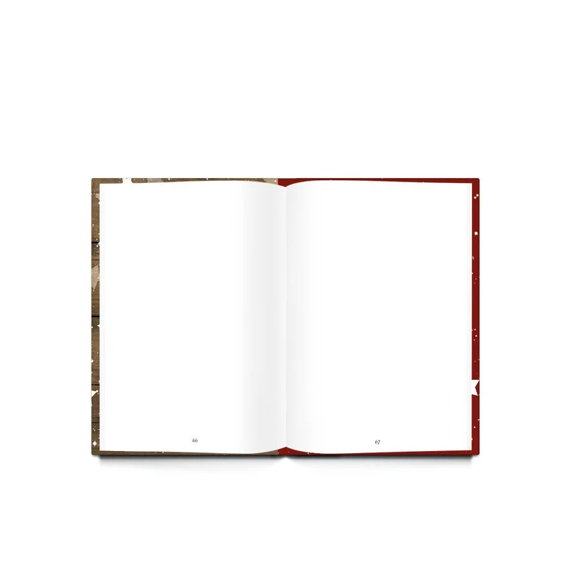 Geschenk-SET zu Weihnachten Geburtstag Hochzeit: 2 x DIN A5 Rezeptbuch Kochbuch Backbuch zum Selberschreiben MEINE REZEPTE sammeln Kochrezepte Backrezepte - Küche Essen gesunde Ernährung