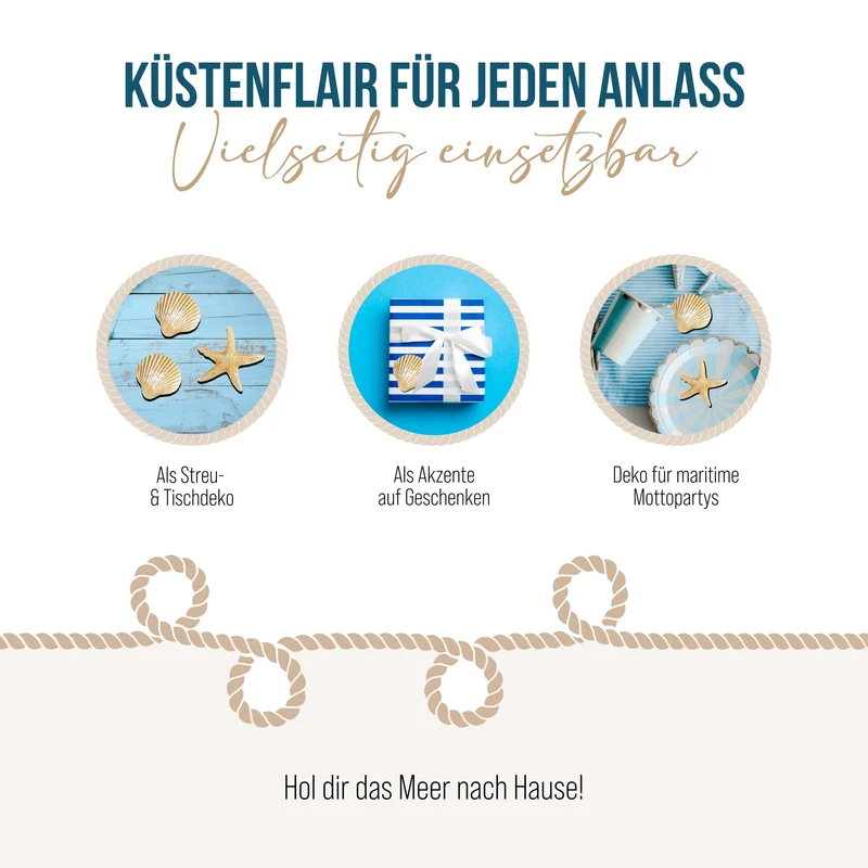 8-teiliges Deko Set mit Muscheln + Seesternen beige zum Kleben
