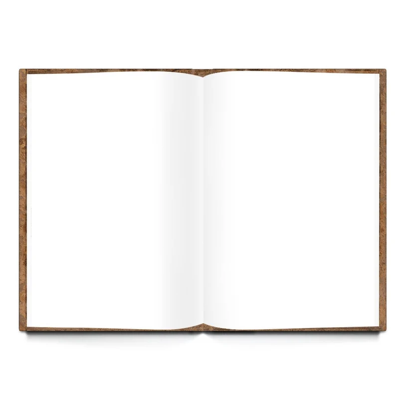 Logbuch-Verlag Blanko Bücher SET 5 Notizbücher 3 x DIN A4 + 2 x A5 - Tagebuch Notizbuch leer zum Selbst Gestalten Vintage rustikal Globus Weltkarte