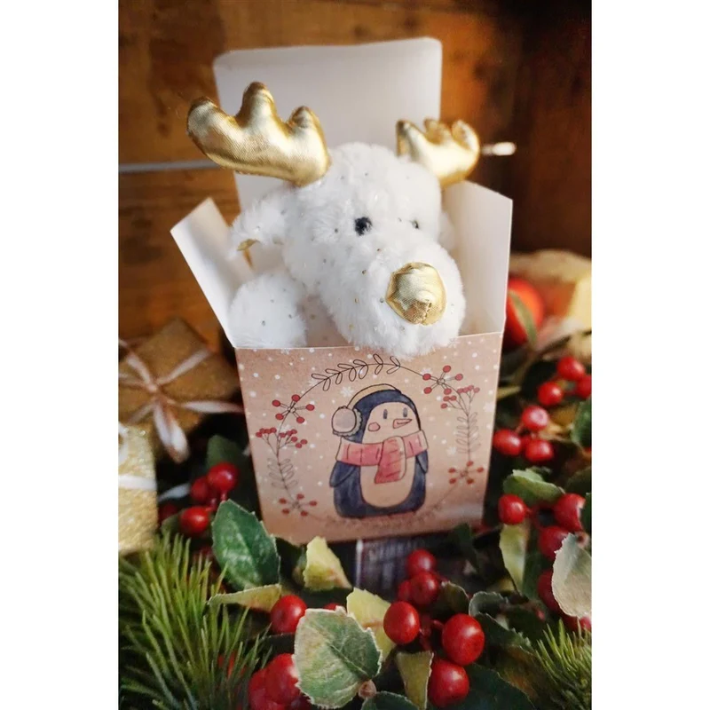 Weihnachtliche Geschenkboxen braun 10 x 10 cm mit bunten Wintertieren
