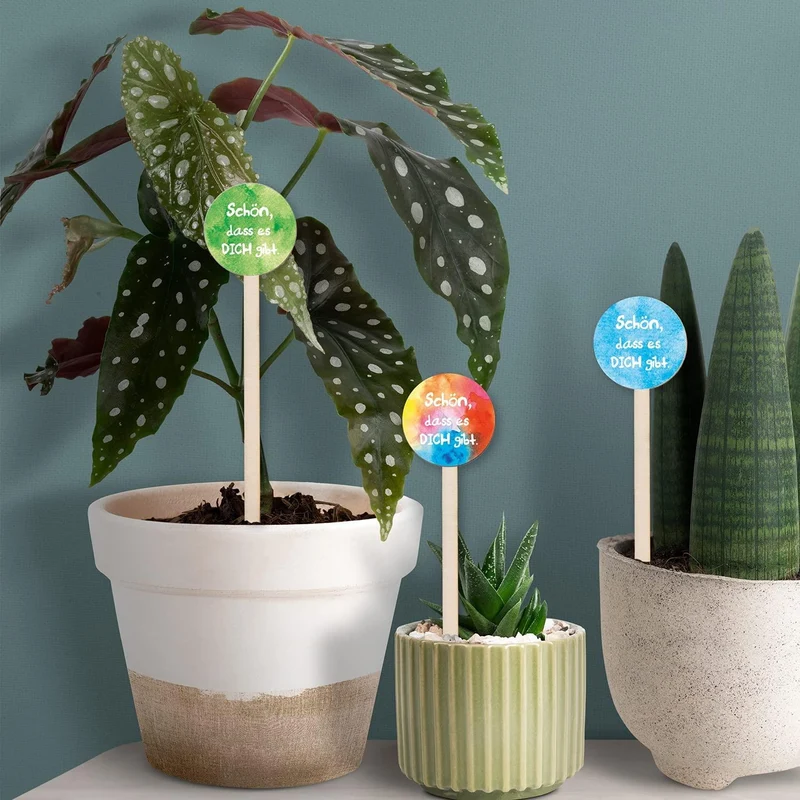 12 Topfstecker aus Holz natur braun - zum Bekleben & Beschriften 25 cm